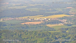 Žalý