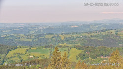 Žalý