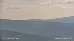Žalý