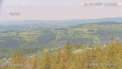 Žalý