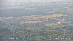 Žalý