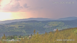 Žalý