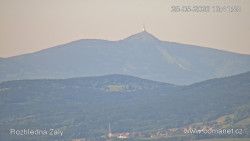 Žalý