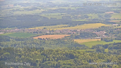 Žalý