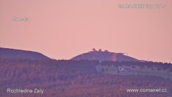 Žalý