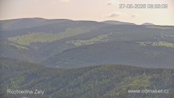 Žalý
