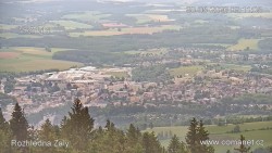 Žalý