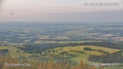 Žalý