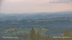 Žalý