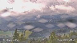 Žalý