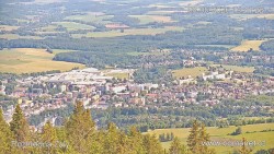 Žalý