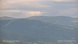 Žalý