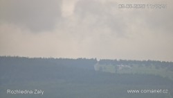 Žalý