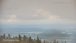 Žalý