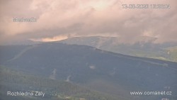 Žalý