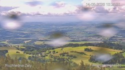 Žalý
