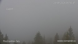 Žalý, Krkonoše, Jizerské hory