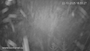 Snímek    22.10.2025 v 20:00