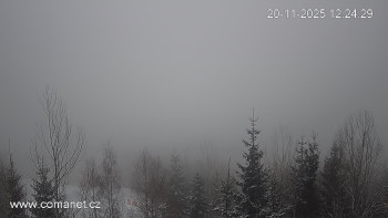 Snímek    20.11.2025 v 12:30