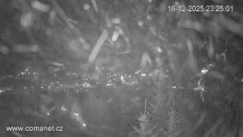 Město Špindlerův Mlýn