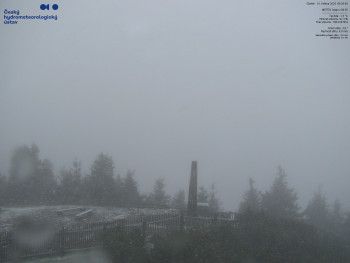 Snímek    15.5.2025 v 08:45