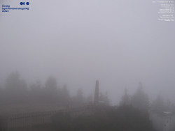 Pohled na jihozápad, Smrk