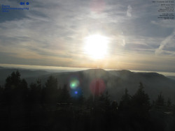 Pohled na jihozápad, Smrk