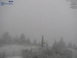 Pohled na jihozápad, Smrk