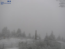 Pohled na jihozápad, Smrk