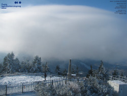 Pohled na jihozápad, Smrk