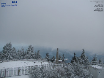 Snímek    19.11.2025 v 11:00