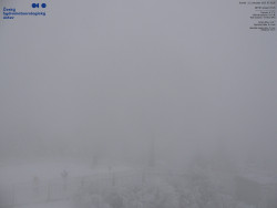 Pohled na jihozápad, Smrk