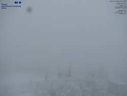 Pohled na jihozápad, Smrk