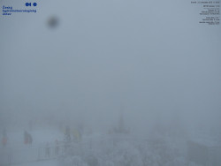 Pohled na jihozápad, Smrk