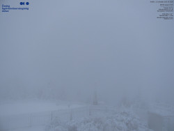 Pohled na jihozápad, Smrk