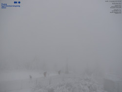 Pohled na jihozápad, Smrk