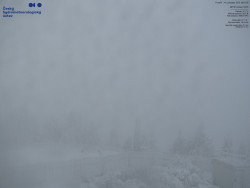 Pohled na jihozápad, Smrk