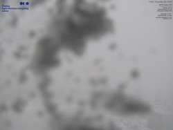 Pohled na jihozápad, Smrk