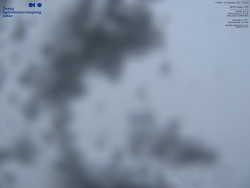 Pohled na jihozápad, Smrk