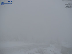 Pohled na jihozápad, Smrk