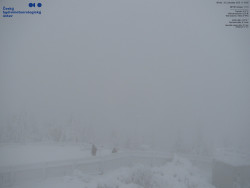 Pohled na jihozápad, Smrk