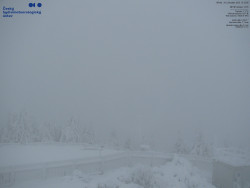 Pohled na jihozápad, Smrk