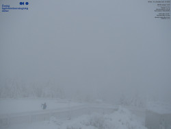 Pohled na jihozápad, Smrk