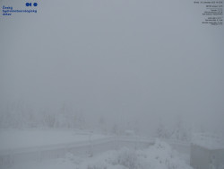 Pohled na jihozápad, Smrk