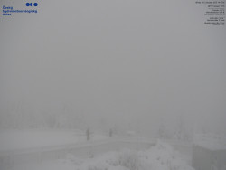 Pohled na jihozápad, Smrk