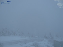 Pohled na jihozápad, Smrk