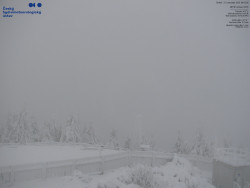 Pohled na jihozápad, Smrk