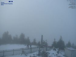 Pohled na jihozápad, Smrk