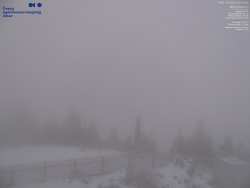 Pohled na jihozápad, Smrk