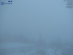 Pohled na jihozápad, Smrk